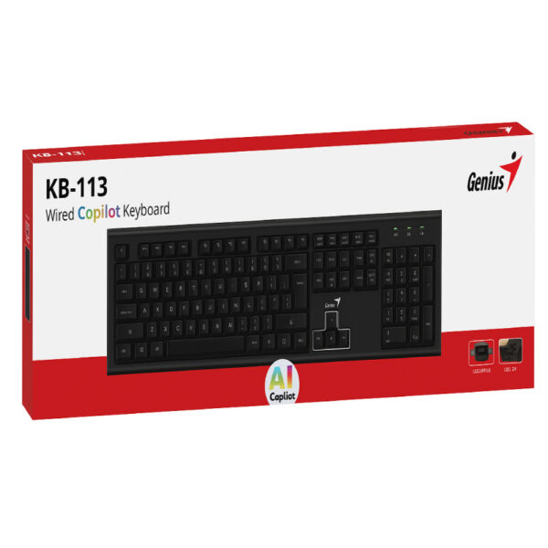 TECLADO GENIUS KB 113 USB