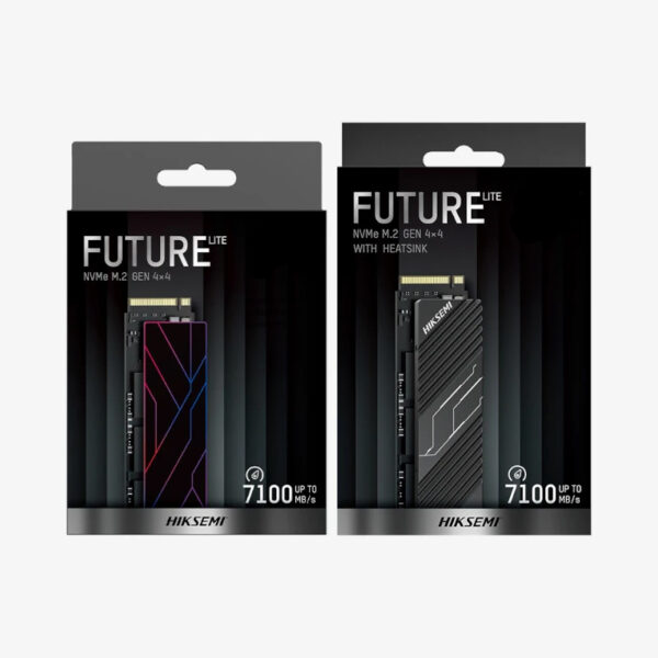 DISCO SSD HIKSEMI M2 PCIE NVME 1TB FUTURE